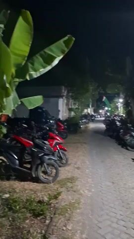 The video shows a nighttime scene of parked motorcycles lined up along a paved path. The path is made of cobblestones, and there is vegetation on either side, including large banana leaves. A street lamp illuminates the scene, casting a bright light. In the background, more motorcycles are visible, as is a building and a flag. The overall impression is of a parking area at night, possibly near a residential area or a gathering place.