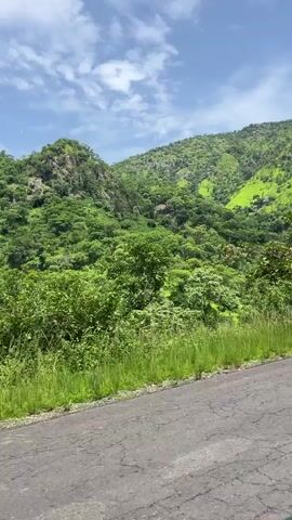 The video shows a green, hilly landscape with a road in the foreground. The hills are covered in lush vegetation, with trees and grass. The sky is blue with some white clouds. The road is paved and appears to be cracked in places. The camera is moving, suggesting that this is a view from a vehicle. There is a glimpse of a person in a white shirt on the left side of the frame at the beginning of the video.