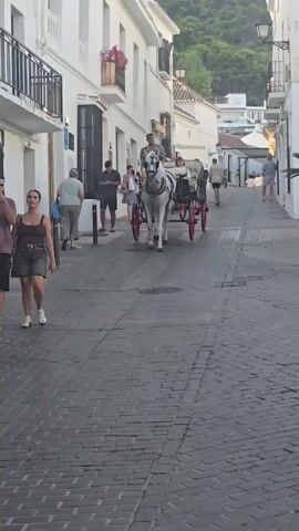 A white horse pulls a carriage with two people in it down a narrow, cobblestone street. The horse is mid-trot, with its front right leg raised. The carriage is red and black. A man in a patterned shirt drives the carriage, and a person in a plaid shirt is seated next to him. Several other people are walking on the street, some of whom are looking at the carriage. The street is lined with white buildings with balconies and potted plants. Trees and a hillside are visible in the background. The lighting suggests it is daytime, possibly late afternoon.