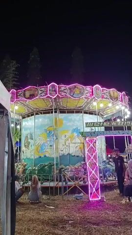 The video shows a carousel at night. The carousel is decorated with colorful lights and has cartoonish images of animals on its panels. Several people are visible, some sitting and some standing. One person appears to be operating the carousel. The ground is covered in dry grass and dirt, and there are trees in the background. The sky is dark, indicating it is nighttime.