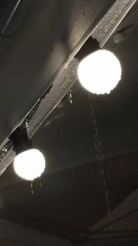 Two white light bulbs hang from a ceiling. Water drips from the ceiling onto the bulbs and the ceiling itself. The bulbs are illuminated. The environment appears to be indoors, possibly a garage or industrial space, with a metal ceiling structure visible.