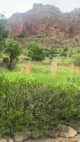 The video captures a scenic view of a historical cemetery nestled at the base of a reddish-brown mountain. The foreground features a low stone wall, behind which a vibrant green bush with small leaves partially obscures the view. Beyond the bush, several weathered, rectangular tombstones stand upright in a field of lush green grass. Some tombstones appear to have carvings or etchings. Scattered trees and shrubs dot the hilly landscape leading up to the towering mountain. The sky is overcast, suggesting a cloudy day.