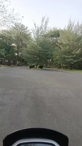 A first-person perspective video shows a paved road lined with trees. The camera appears to be mounted on a vehicle, possibly a motorcycle, given the visible handlebar at the bottom of the frame. The road curves slightly to the right, and on the left side, there are some buildings visible in the distance, partially obscured by trees. In the center of the road, there is a circular island with some neatly trimmed bushes and a few young trees. The overall environment appears to be a park or a well-maintained outdoor area, possibly a resort or a campus. The sky is overcast. The video is short and shows a brief movement along the road.