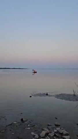 A motorboat with two people aboard travels across a calm body of water. The sky is a soft gradient of blue and pink, suggesting either dawn or dusk. In the foreground, the water is textured with ripples and a patch of mud or silt with several rocks. The boat is white with an orange canopy and two orange life vests are visible on the occupants. The boat is moving from left to right in the frame, leaving a slight wake.