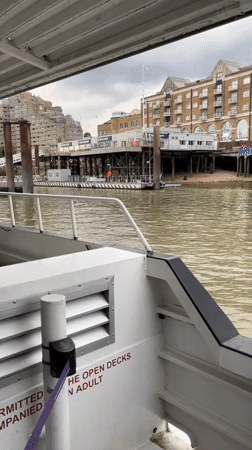 River Thames cruise passing Tower Bridge, September 2026