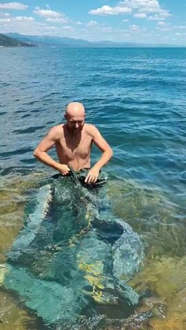 A bald man, shirtless and wearing dark shorts, stands in clear, shallow water near a rocky shoreline. He is holding a large piece of blue and green fabric or material, which is submerged in the water. He appears to be pulling or adjusting the material, with some of it floating around him. In the background, the body of water extends to the horizon, with mountains visible in the distance under a partly cloudy sky. The man raises his arms in the air towards the end of the clip.