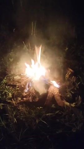 The video begins by showing a campfire at night, with flames and smoke rising into the dark. The camera then pans to the right, capturing a blur of green foliage and then a dark scene. In the final frames, the camera focuses on a group of people gathered around a pile of durians at night, illuminated by an unseen light source. Some individuals are seen touching or handling the durians. The environment appears to be outdoors, with grass and leaves visible.