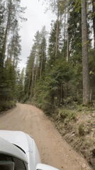 Forest drive documented on dirt road near Steklyannyi, Russia