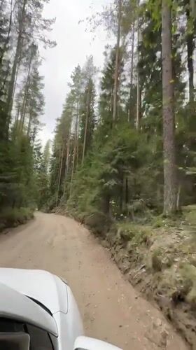 Forest drive documented on dirt road near Steklyannyi, Russia
