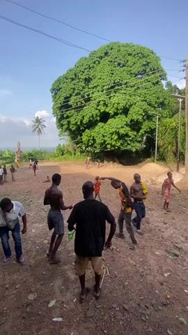 The video opens outdoors in Unwana, Nigeria, showing a group of men and children gathered on a dusty, earthen ground under a bright blue sky. A large, verdant tree stands prominently in the background, with a palm tree visible further in the distance on the left. Power lines stretch across the frame overhead. People are seen milling about, some standing in small groups, others walking casually.

The scene then transitions to a concrete porch or veranda. Here, several men are seated, actively participating in a musical performance. They are playing traditional drums crafted from hollowed logs, using wooden sticks to create rhythmic sounds. One man in a green tank top, with "CELTICS" visible on it, is in the foreground, energetically beating his drum. Other men around him are also drumming or observing the performance. The porch floor is covered with wood shavings and pieces of sugarcane, suggesting they might be used in the drumming or preparation. The wall behind them is a light yellow, and a door is visible. The atmosphere appears lively and communal, centered around the musical activity.