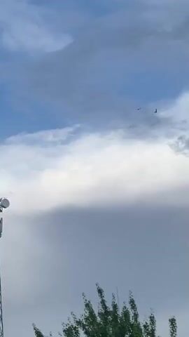 A still shot of the sky shows clouds and a bird in flight. The bottom of the frame features a small portion of green trees. The sky is a mix of blue and gray clouds. There is one bird flying in the upper right portion of the frame.