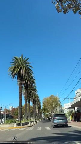 A car drives down a street lined with tall palm trees under a clear blue sky. The street has a crosswalk and other cars are parked along the side. Buildings are visible on either side of the street. Power lines run above the street.