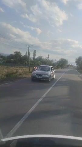A car is driving down a rural road in Akhali Dioknisi, Georgia. The sky is partly cloudy and the sun is shining, suggesting it is daytime. A brown cow is standing by the side of the road, and a few trees and houses can be seen in the background. The car's license plate is visible, but the text is not clear enough to be read. The video appears to have been shot from inside another vehicle.