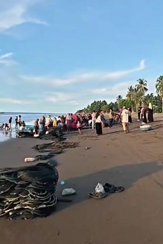 The video shows a beach scene with a group of people, likely fishermen and their families, gathered on the sand near the water's edge. Fishing nets are spread out on the beach, some in large piles and others in use. Several individuals are actively engaged in pulling a fishing net from the water, with some people in the water and others on the shore assisting. The people are dressed in a mix of traditional and casual clothing. The environment is a sandy beach with palm trees visible in the background, and the ocean is calm with small waves. The sky is partly cloudy, suggesting it is either early morning or late afternoon.
