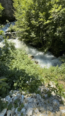 Waterfall and rushing river cutting through lush forested hillside