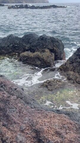 The video shows a rocky coastline with waves crashing against the dark, jagged rocks. The water is clear and foamy, with some greenish algae visible beneath the surface. The rocks are primarily dark grey and black, with some showing a reddish-brown hue. The ocean stretches out in the background under an overcast sky. The camera remains static, focusing on the waves as they surge and break around the rocks.