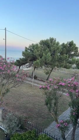 The video shows a view from a balcony overlooking a grassy yard with a fence, trees, and the ocean in the distance. The sky is a pale blue with hints of pink and orange from the sunrise or sunset. In the foreground, there are two flowering trees with pink blossoms. Beyond the yard, a fence separates it from the beach. The ocean is calm, with gentle waves lapping at the shore. In the distance, a faint outline of land can be seen on the horizon. There are no people or animals visible in the video.