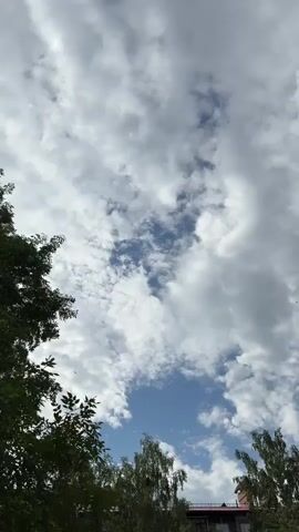 This vertical video captures a view of a cloudy sky on a sunny day. The sky is a mix of bright white cumulus clouds and patches of clear blue. Several birds are visible in the sky, appearing as small dark specks against the clouds. In the foreground, the tops of trees with green leaves are visible on the left and right sides of the frame. On the bottom right, a portion of a building with a red roof can be seen, suggesting an urban or suburban setting. The presence of clouds and patches of blue sky indicates partly cloudy weather. The lighting suggests it is daytime, likely mid-morning or afternoon, given the brightness of the sky. No text is visible in the video.