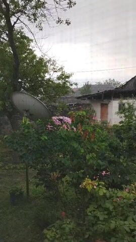A static shot shows a backyard scene with a satellite dish mounted on a pole to the left. In the center, a blooming bush with pink flowers is prominent. Behind the bush, a small, weathered building with a tin roof is visible. The sky is overcast.