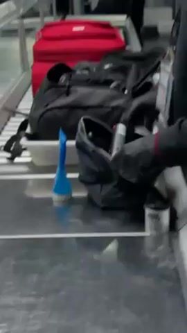 The video shows an airport security check. A conveyor belt is visible with a red suitcase and a black backpack on it.  A black bag is placed on a metal surface in front of the conveyor belt. The bag contains several bottles and containers of various sizes and shapes. To the left of the bag is a blue travel-sized container. To the right is a black container.  A person wearing black gloves is reaching into the bag. The overall environment appears to be clean and well-lit, suggesting an airport terminal.