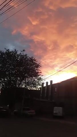 The video shows a street scene at sunset in Vedi, Armenia. The sky is filled with dramatic clouds painted in hues of orange, pink, and purple. Power lines crisscross the frame, silhouetted against the vibrant sky. In the foreground, a tree stands tall on the left, its dark foliage contrasting with the bright sky.

Several buildings line the street. On the left, a low-rise building with multiple chimneys is visible, with a white van parked in front of it. Further down the street, a larger apartment building with many windows dominates the skyline. Small shops with illuminated signs are located on the ground floor of this building.

There are a few vehicles on the street, including a silver SUV and a white van. Some people are visible walking on the sidewalk and near the buildings, though their features are not distinct. The overall atmosphere is peaceful, with the stunning sunset providing a beautiful backdrop to the urban setting. The time of day is clearly sunset, indicated by the colors of the sky and the fading light. The location cues point to a residential and commercial area. The emotion evoked is one of tranquility and natural beauty. No specific text is clearly legible beyond generic store signage.