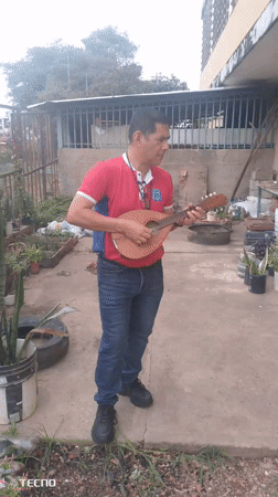 Man plays mandolin in Tinaquillo park amid spring plantings