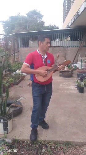 Man plays mandolin in Tinaquillo park amid spring plantings