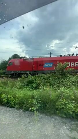 A bright red electric locomotive, branded "Rail Cargo Hungaria" and a "Member of ÖBB" (Österreichische Bundesbahnen), is seen passing by on train tracks. The view is captured from inside a vehicle, looking through a window that has some visible dirt or water spots.

In the immediate foreground, there is a metallic safety barrier and a strip of gravel or dirt. Beyond this, lush green grass and bushes grow alongside the railway line. The red locomotive, a modern design with visible pantographs on its roof, is the dominant subject, moving from right to left across the frame. Prominent blue and black text on its side reads "Rail Cargo Hungaria," accompanied by the distinctive red ÖBB logo. Additional numbers "91 81 1110 034-0 A" are visible on the lower section of its body.

In the mid-ground, the train tracks are clearly visible, surrounded by more green foliage, including some small red wildflowers. The background features distant trees and overhead power lines (catenary) for the electric train. The sky is heavily overcast with grey clouds, indicating a cloudy daytime setting. The overall scene suggests a rural or semi-rural environment.