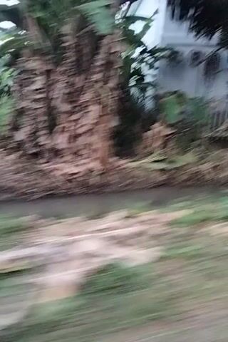 The video shows a blurred view of a building and its surroundings. It appears to be an outdoor scene, possibly a street or a path next to a building. There are some green plants and trees visible, as well as what looks like a structure with stairs and windows. The overall quality of the video is poor, with significant motion blur.