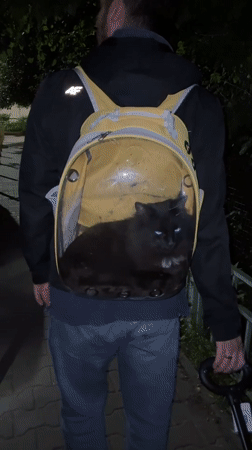 Night errand in Mytishchi — wagon, bags, and a cat in a backpack
