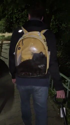 Night errand in Mytishchi — wagon, bags, and a cat in a backpack