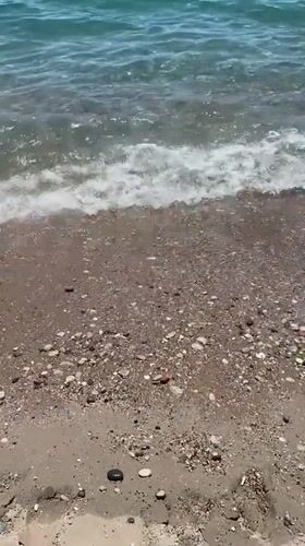 Peaceful beach day captured at Montenegro coastal resort