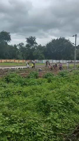A group of people are working on a set of train tracks. The weather appears overcast and cloudy. The foreground is filled with dense green foliage. In the mid-ground, several individuals, dressed in casual clothing, are spread out along the tracks, engaged in various tasks. Some appear to be digging or moving materials, while others are gathered in small groups, possibly discussing their work. One person is operating a motorcycle-like vehicle. In the background, more people are visible working near a low wall. Trees and vegetation form a backdrop to the scene, and a utility pole with overhead wires stands to the right. Rusted metal rails are stacked in the far foreground, suggesting ongoing construction or maintenance.