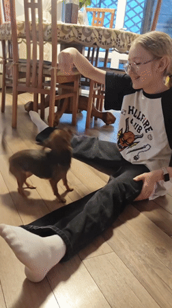 Girl trains small brown dog indoors in Samara home