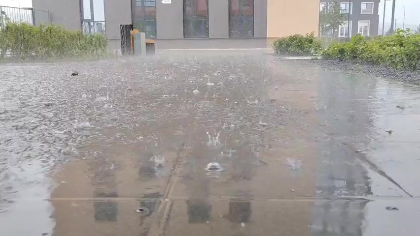 The video shows a ground-level view of a paved area during heavy rainfall. Numerous raindrops are visible hitting the wet pavement, creating splashes and ripples. On the left side of the frame, a narrow strip of green bushes runs along the edge of the paved area. Beyond the bushes, a modern building with large windows is partially visible. To the right of the paved area, a darker strip of gravelly material is present, also bordered by green bushes. The overall environment appears to be an outdoor urban or suburban setting. No people or animals are visible in the footage.