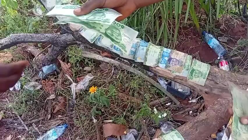The video shows a person in an outdoor setting handling Nigerian currency. The person is wearing striped sandals. Various denominations of Naira notes are arranged on a fallen tree branch. The surroundings include grass, fallen leaves, some trash including plastic bottles, and a small orange flower. The person appears to be counting or displaying the money.