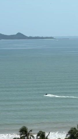 A wide shot shows a body of water with a jet ski rider moving from left to right creating a white wake. In the distance, there is a landmass with hills and trees. The sky is clear and pale blue. In the foreground, the tops of palm trees are visible along the bottom edge of the frame.