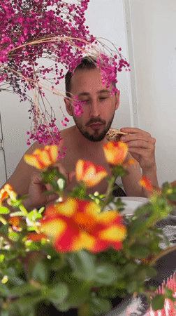 Early morning breakfast scene with succulents in Kiryat Bialik