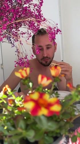 Early morning breakfast scene with succulents in Kiryat Bialik