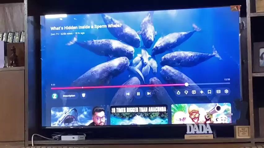 A television screen displays a video about sperm whales. The screen shows a circular formation of about ten sperm whales swimming underwater. The text "MARGUERITE FORMATION" is displayed in white capital letters at the bottom center of the screen. Above the video playback controls, the title "What's Hidden Inside a Sperm Whale?" is visible, along with the channel name "Zero Tv" and a view count. Below the video, there are smaller thumbnail images of other videos, including one with a shark and a man, and another with a giant snake labeled "10 TIMES BIGGER THAN ANACONDA." The television is placed on a shelf with various items, including books and decorative objects, to its left and right.