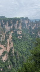 Morning visitors document Zhangjiajie's towering sandstone pillars under cloudy skies