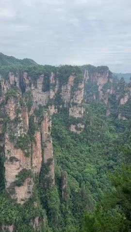 The video shows a high-angle shot of the Zhangjiajie National Forest Park in China.  The landscape features numerous tall, sandstone pillars, densely covered with lush green vegetation. The pillars rise out of a verdant valley, creating a striking and dramatic scene. The sky is overcast with a grey cloud cover.  In the foreground, there are tree branches and leaves, slightly obstructing the full view of the landscape. Sounds of people talking can be heard in the background.