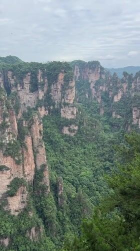 Morning visitors document Zhangjiajie's towering sandstone pillars under cloudy skies