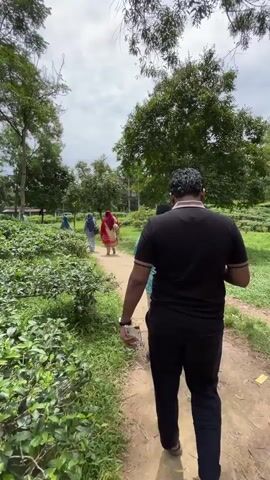 A man in a black shirt and pants walks on a dirt path through a tea plantation. He is followed by a person in a blue and white patterned shirt. In the distance, several people walk along the same path. The path is lined with lush green tea bushes and trees. The sky is cloudy. The camera focuses on the man in the black shirt, then pans to show the other people and the surroundings.