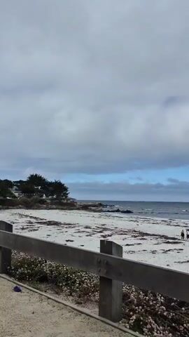 The video shows a wide shot of a sandy beach with the ocean in the background. The sky is cloudy with patches of blue. There is a wooden fence in the foreground with some small plants growing near it. On the beach, there are several people walking around, and some are in the distance near the water. The waves are visible in the ocean, and there is some seaweed scattered on the sand. The overall scene is calm and depicts a typical beach day.