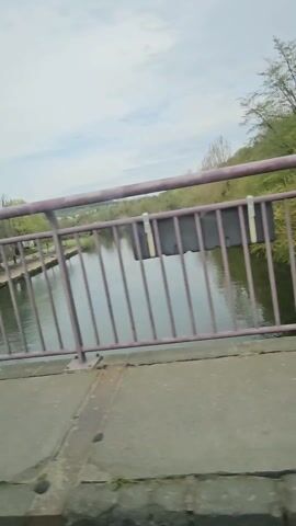 The camera moves slowly across a gray bridge with a purple metal railing, overlooking a calm river. The sky is overcast with patches of blue, and the opposite bank is lined with green trees. A small park area is visible with benches and bare trees. The camera continues to move along the bridge, passing signs attached to the railing.