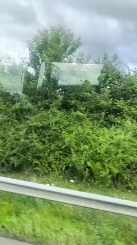 This is a video captured from a moving vehicle, likely a bus or train, looking out a window. The perspective is horizontal, showing a continuous landscape passing by. The scene is dominated by lush green vegetation, including trees and bushes, interspersed with patches of grass and some wildflowers. A silver guardrail is visible in the foreground, indicating the vehicle is on a road or track. In the background, there are glimpses of what appear to be buildings or structures partially obscured by trees and the overall hazy effect of the moving camera. The sky is overcast with grey clouds. The video is silent and the motion is steady, suggesting a smooth journey through a rural or semi-rural area.