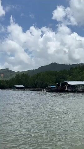 The video shows a view from a boat moving across calm water towards a shoreline. The shoreline features a cluster of wooden structures, possibly stilt houses or fishing huts, with boats docked nearby. Dense green foliage, characteristic of a mangrove forest, lines the coast and extends up the slopes of verdant, tree-covered hills in the background. The sky is a mix of blue and white, with scattered clouds. The water is rippled, indicating the boat's movement. The overall scene depicts a tranquil, coastal, possibly rural or remote, environment.
