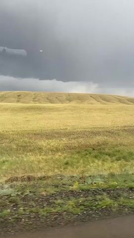 The video captures a rural landscape under a dramatic, overcast sky. The scene is dominated by rolling hills covered in dry, golden grass, suggesting a late summer or early autumn setting. A darker, more lush patch of green grass is visible in the mid-ground, hinting at a water source or a difference in vegetation.

In the distance, a herd of dark animals, likely horses or cattle, are scattered across the field. A few thin, white poles dot the landscape, possibly fence posts or markers. The foreground shows a rougher, grassy verge bordering a dark, unpaved surface, likely a dirt road.

The sky is filled with heavy, dark grey clouds, characteristic of approaching rain or a storm. The overall mood is somber and vast, evoking a sense of open, untamed nature. There are no discernible signs of human activity beyond the distant animals and the rudimentary poles. The time of day is not explicitly clear, but the heavy cloud cover suggests it is not broad daylight. The location cues, such as the rolling hills and the type of vegetation, combined with the provided location context of Бүркітті, Kazakhstan, paint a picture of the arid, steppe-like environment found in that region. There is no visible text in the video.