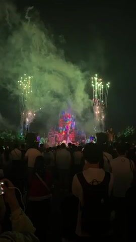 This is a vertical, low-angle shot of a nighttime fireworks show at a castle, likely a theme park, viewed from behind a crowd of people. The castle, illuminated with vibrant, shifting colors, is the central focus, with plumes of white smoke and bursts of fireworks in shades of gold and white emanating from its sides and above. The crowd, silhouetted against the bright castle and sky, consists of numerous individuals of varying ages and genders, many with their backs to the camera. Some are holding up their phones to capture the spectacle. The environment is dark, typical of an evening event, with the light from the fireworks and castle casting a colorful glow. Green foliage is visible on either side of the castle. The scene conveys a sense of awe and celebration.